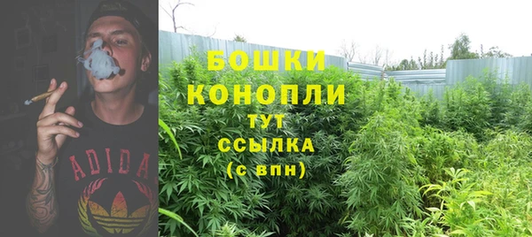 каннабис Балабаново
