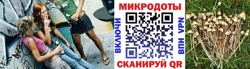 ОМГ ОМГ маркетплейс  Отрадная  Галлюциногенные грибы Cubensis 